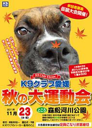 �H�̑�^����